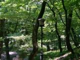 В курортном парке.