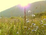 Sunrise. Agoy Sunrise. Agoy
