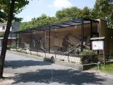 asazoo 05 安佐動物公園 ハリネズミ asazoo 05 安佐動物公園 ハリネズミ