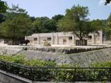 asazoo 07 安佐動物公園 クロサイ asazoo 07 安佐動物公園 クロサイ