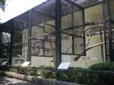 asazoo 09 安佐動物公園 サル asazoo 09 安佐動物公園 サル