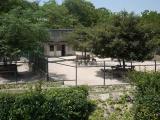 asazoo 19 安佐動物公園 サンバー asazoo 19 安佐動物公園 サンバー