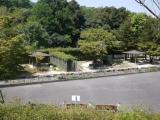 asazoo 29 安佐動物公園 カモシカ asazoo 29 安佐動物公園 カモシカ