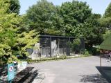 asazoo 36 安佐動物公園 猛禽類 asazoo 36 安佐動物公園 猛禽類