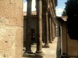 IL PALAZZO DEI PAPI DI VITERBO IL PALAZZO DEI PAPI DI VITERBO