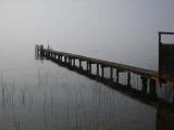 Galleggiando tra l'aria e l'acqua Galleggiando tra l'aria e l'acqua