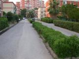 Via Bulgaria Via Bulgaria