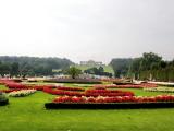 Vienna, Schonbrunn Palace, Towards Gloritte Vienna, Schonbrunn Palace, Towards Gloritte