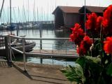 Lindau-port Lindau-port