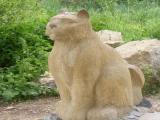 Кот Раифский Кот Раифский