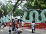 Rồng Thăng long -TL2010 Rồng Thăng long -TL2010