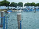 Sirmione Garda Lake