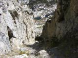 The chute The chute