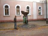 місце розстрілу членів ОУН у 1943 році ..
