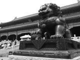 太和門雄獅(鑄於明朝) Bronze Lion(Molded in MING DYNASTY) in front of TaiHe Men/Gate of Supreme Harmony in the Forbidden City(1406~) 太和門雄獅(鑄於明朝) Bronze Lion(Molded in MING DYNASTY) in front of TaiHe Men/Gate of Supreme Harmony in the Forbidden City(1406~)