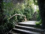 shady path shady path