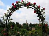 ARCO DE ROSAS ARCO DE ROSAS