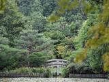 龙安寺 镜容池 龙安寺 镜容池