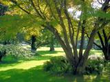 Cham - Villette, im Park Cham - Villette, im Park