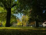 Park Park