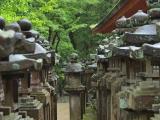 Japan, Nara, Kasuga Taisha shrine Japan, Nara, Kasuga Taisha shrine