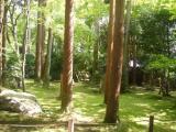 龍安寺 庭 龍安寺 庭