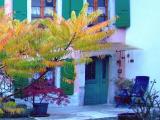 la vie en couleurs la vie en couleurs