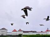 Here's how we fly :)