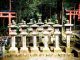 Lanterns at Wakamiya-jinja Lanterns at Wakamiya-jinja