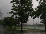 วันฝนตกหนัก ที่สนามหน้าเมือง วันฝนตกหนัก ที่สนามหน้าเมือง
