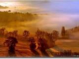 A morning to dream A morning to dream