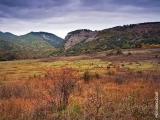 fs Near the Black river canyon fs Near the Black river canyon