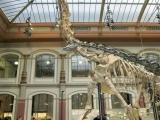 Naturkundemuseum Naturkundemuseum