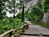 Montserrat - Camí de la Santa Cova
