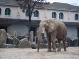 20101107安佐動物公園 20101107安佐動物公園