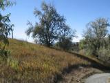 on the path on the path