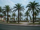 Paseo Marítimo (Salou) Paseo Marítimo (Salou)