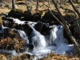 Riu de Rialb, El Serrat Riu de Rialb, El Serrat