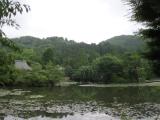 龍安寺 鏡容池 龍安寺 鏡容池