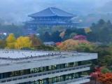 1300年前の建造物(東大寺大仏殿)と近代の建造物(奈良県警察本部) 1300年前の建造物(東大寺大仏殿)と近代の建造物(奈良県警察本部)