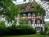 Bújva - Hiding - Neuhausen am Rheinfall, Svájc
