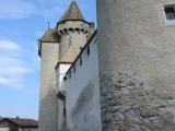 Aigle
