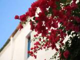 10/2010 Cadaqués, Spanien