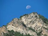 Moon Moon