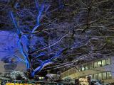 Stuttgart - Weihnachtsmarkt. Blaukalt und Goldwarm. Stuttgart - Weihnachtsmarkt. Blaukalt und Goldwarm.
