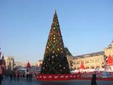 Москва . Красная площадь предновогодняя