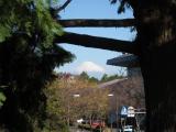 富士山 駿府公園 富士山 駿府公園