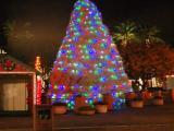 Tumbleweed Holiday Tree in Old Chandler Town Tumbleweed Holiday Tree in Old Chandler Town