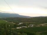 Алушта, виноградники