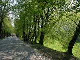 Rzeszow, Aleja Lubomirskich Rzeszow, Aleja Lubomirskich